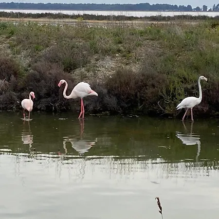 Tres Beau Studio A Port Camargue Superbe Vue Port